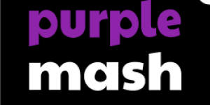 puple mash